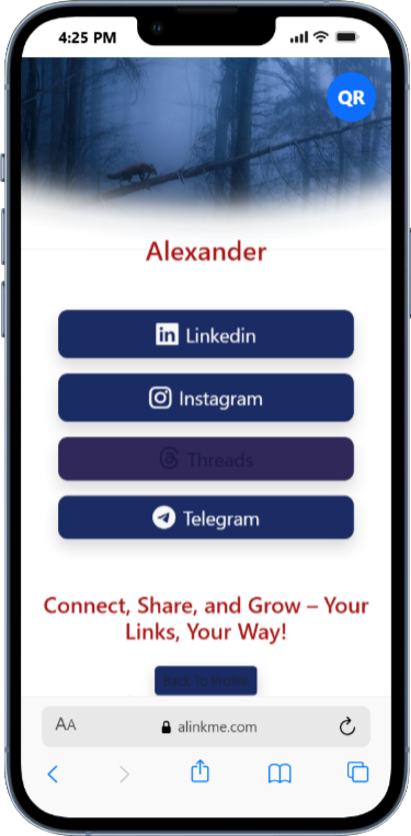 AlinkMe profile banner theme customization for link in bio page